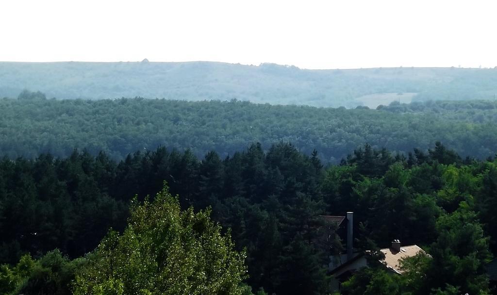Tuenderszikla Panzio Bed & Breakfast Pilisjaszfalu Rom bilde